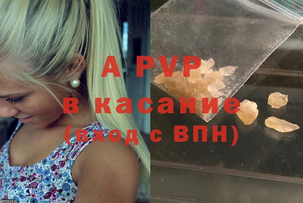 сатива Надым